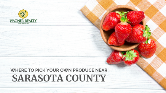 Sarasota Farms