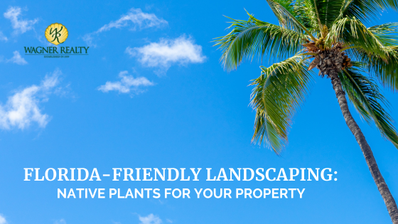 Florida Landscaping